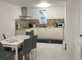 Moonriver Alps Ski Apartament