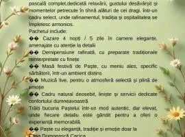 Casa Domnească Cacica