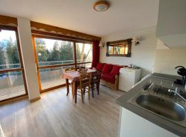 V du Bachat Droseras C N22 2P7, hotel en Chamrousse