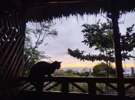 Homestead Farm Payag/Bahay Kubo