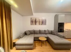 Green Nest Apartment - Otopeni Area