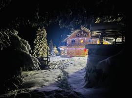 Cabana Kraus, Hotel in Valea Vişeului