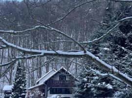 Cottage by the river Valea Draganului, hotel en Poeni