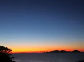 Ponzamania Stella marina