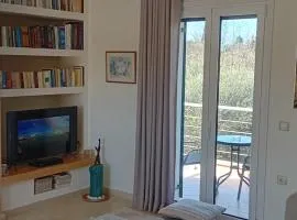 Villa Alexandra Verde Near Corfu Town