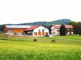 Reiterhof Hexental