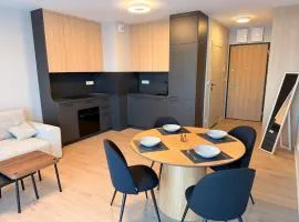 Elite Home 7a Jeżyce - Barańczaka