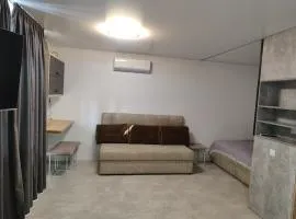 Комфортні однокімнатні апартаменти зі всіма зручностями