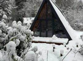 A-huis in het bos van Drenthe