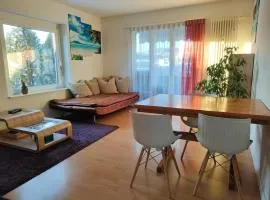 Cosy full Apartment in Aadorf TG