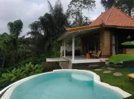 Peaceful private pool villa with Infinity Jungle Escape