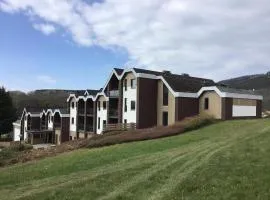 Studio apartment in Oberhambach for 2 guests