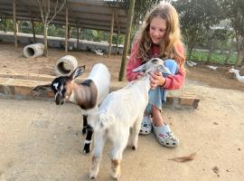 The Real Farm - Nguyen Shack, hotell sihtkohas Phong Nha