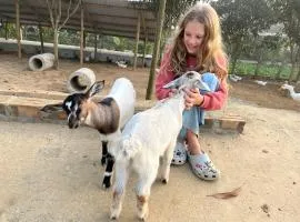 The Real Farm - Nguyen Shack