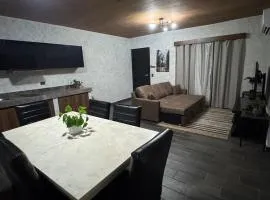 Modern apartment with pool in Nuevo Obispado