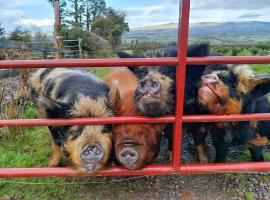 The Old House at Belfield, hotel em Tralee