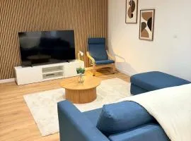 Calme et charme en centre-ville Dole-Parking gratuit à proximité