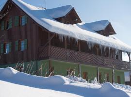 Kocurzonka Apartamenty，亞沃辛卡的山林小屋