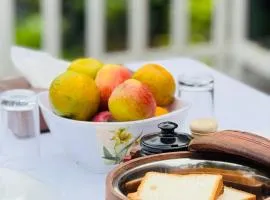 Pepper premium villas Munnar