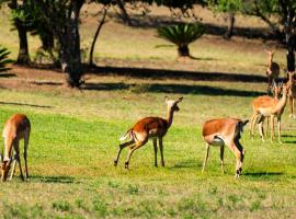 Intibane Lodge, Hotel in Ulundi