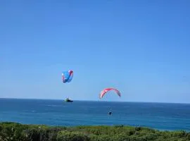 Villa Cape Garden Route