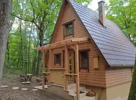 Őzike-Lak a Börzsönyben