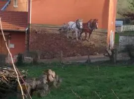 La vache sur le toit