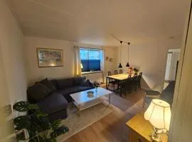 Family House with room for six