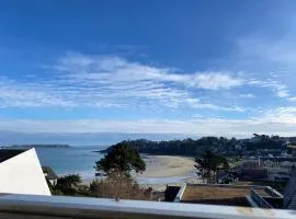 Les Studios de la Cote Roz - Vue Mer - Plage