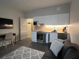 Newly renovated studio apartment in centrum of Lahti