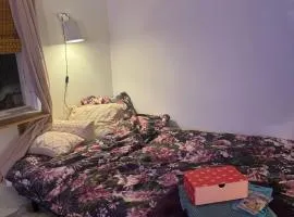 Tiny house at Enhrna