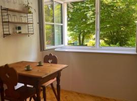 Small apartment, Hotel in Freundorf