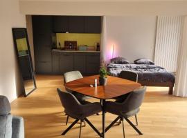 Studio Stadtpark - central, calm, classy, chic, hotel en Olten