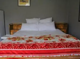 Willy Smart Guesthouse PMB