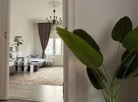 Das MONTI - Superior