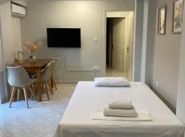 Παραλιακό διαμέρισμα με αυλή