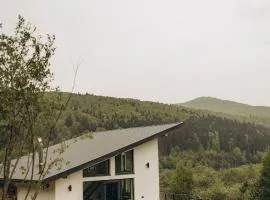 Гірські будиночки