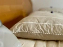 Vintage studio apartment