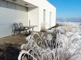 Pasivní dům uprostřed louky