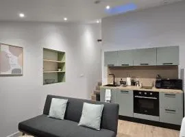 Cosy studio - refait à neuf au centre ville de Mâcon