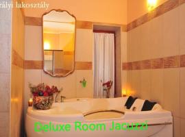 Castle Wellness Resort & Spa, Hotel in Nyíregyháza