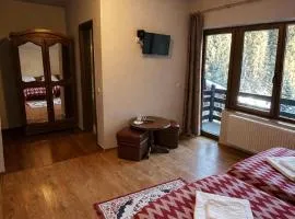 Pensiunea Casa Vanatorului