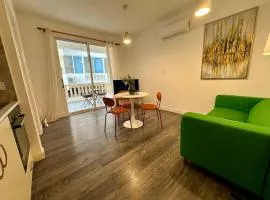 1 bedroom flat in centre
