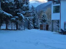 Vila Roberta Breaza ,BV