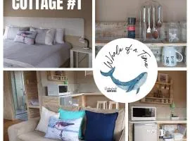 Whale of a Time - Sedgefield