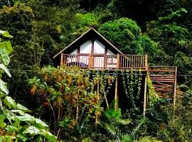 Hotel Descubre tu Regalo