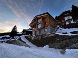 Chalet Sofia, Hotel in Bettmeralp