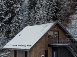 Зоряний Бескид, Hotel in Delyatyn