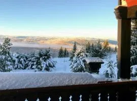 Spacious Family Cabin With Views In Hafjell