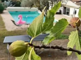 Studio Provence VAR piscine vin
